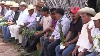 recibimiento de la banda cerro grande en la pe
