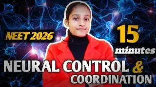 Neural Control and Coordination One Shot | Biology one shot | Class 11th | NEET #neet2026