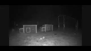 Live streaming of Rock Creek HideAway