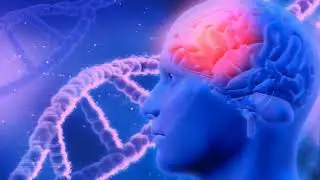 412 hz Neumoniae klebsiella