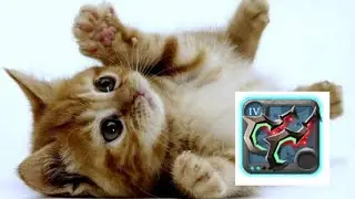 I LUV DEATH GIVERS 4.2! SOLO MIST PVP / ALBION ONLINE MIAU MIAU :3