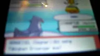 Pokemon Diamant/Perl Top Vier - Herbaro
