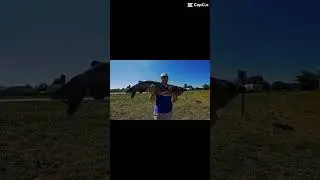My TOP 3 catfish baits for LATE summer coming soon (full video)