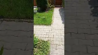 Северо - восток Беларуси...даже и не знала...