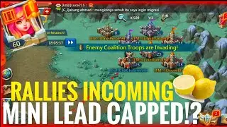 MINI LEAD CAPPED GETS RALLIED!? 15+ MILLION KILLS IN ONE MORNING 👀 - Lords Mobile