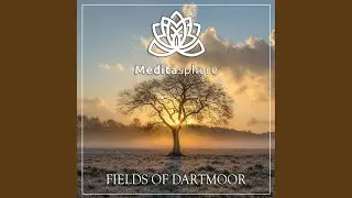 Fields of Dartmoor