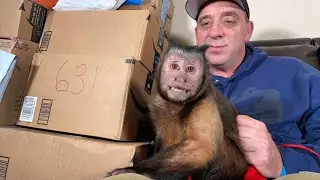 Monkey Mail Time! (MONKEY MONDAY)