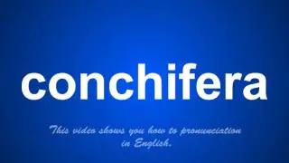 the correct pronunciation of conchifera in English.
