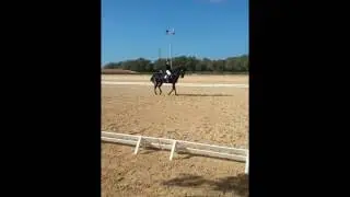 Menorca horses competing
