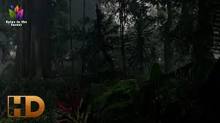 3 Hours Rainforest Ambience 🌧️🌿 | Deep Relaxation, Sleep & Nature Sounds