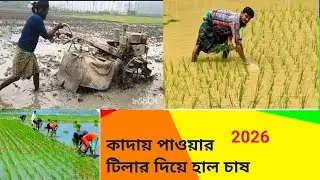 শীতের সময় বোরো চাষ পাওয়ার টিলার দিয়ে কিভাবে হাল চাষ করা হয়