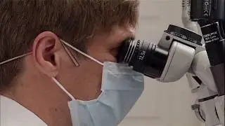 Probleml&ouml;sungen in der Endodontie