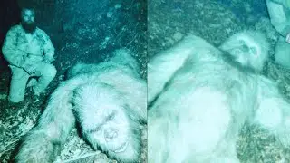 'SASQUATCH IS NO MORE' - Hunters Terrifying Encounter With Bigfoot
