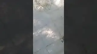 sounds great good drain pool #trending short vedio