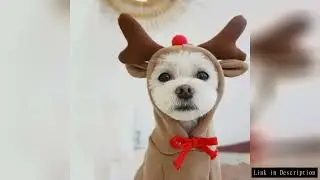 Cute Elk Dog Clothes Reindeer S/M/L Dogs Hoodies Warm Pet Clothing Puppy Cat Costume Coat Chihuahua