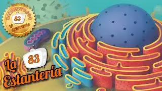 Cytosis - Opinión