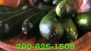 *Small Farmers a Way of The Past -- ?* ~ 760-625-1509