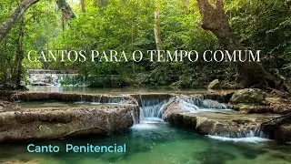SENHOR QUE VIESTE PARA PERDOAR