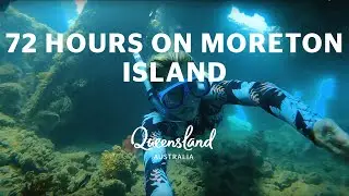 72 hours at Tangalooma Island Resort