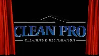 Professional Drapery Cleaning: Enhancing the Longevity and Beauty of Your Window Treatments