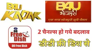 2 Channels Removed B4U Network in DD Free Dish