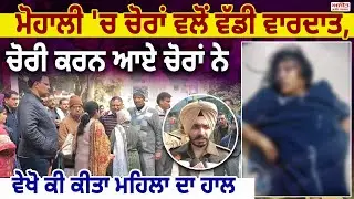 ਮੋਹਾਲੀ 'ਚ ਚੋਰਾਂ ਵਲੋਂ ਵੱਡੀ ਵਾਰਦਾਤ,ਚੋਰੀ ਕਰਨ ਆਏ ਚੋਰਾਂ ਨੇ ਵੇਖੋ ਕੀ ਕੀਤਾ ਮਹਿਲਾ ਦਾ ਹਾਲ