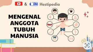 Nama-Nama Anggota Tubuh Manusia 