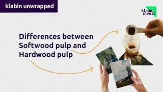 Inside Klabin: Difference between short-fiber and long-fiber pulps