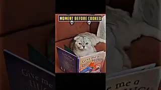 AURA CAT 🗿😈 #aura #new  #shortvideo #cat #viral #trollface #sigma #viralshorts