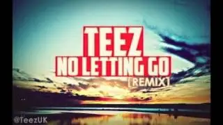 Teez - No Letting Go (Wayne Wonder Remix)