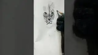 Khoonkhar lion drawing#shortsfeed