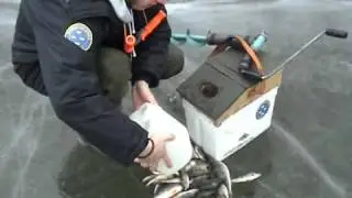 Fritidsfiske med Mankan - Pimpelfiske - Del 2/2