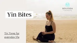 Yin Bites | Quick Yin Yoga classes for everyday life!