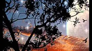 DESIDERATA - ENGLISH