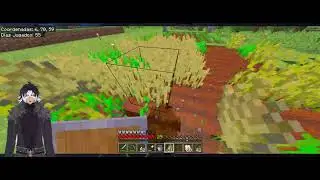 Una noche tranquila en el Minecraft