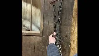 How to Figure 8 Your Bridle