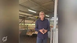 Equipping Moments - The Sheep and their Shepherd