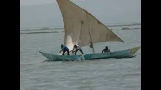 Institutional Roles within Fisheries Act 2016