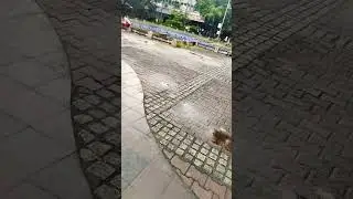 City park mumbai। YouTube shorts। Mr TS Vlogs