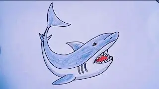 Рисование акулы шаг за шагом/Рисование рыб/Рисунок и раскрашивание акулы @ChalkDrawing