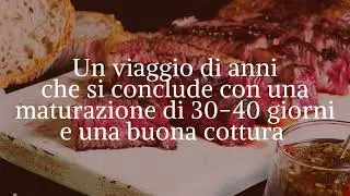 TxuletON_ITA
