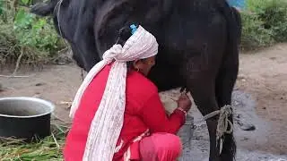 This is mountain Himalayan Village life working hard ruler poor people village nepal 