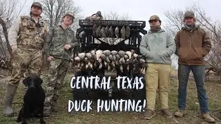 Central Texas Duck Hunting!