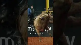 Ways to live a good story: become a bull rider #motivation