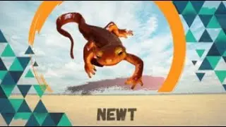 Smooth and moist skin newts