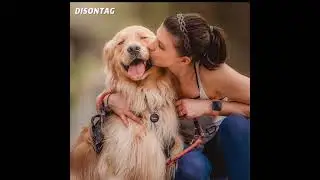 A unique new generation of dog tags, absolutely beautiful text and color matching, stylish, cool