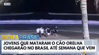 Adolescentes que mataram cão Orelha devem chegar ao Brasil até semana que vem | Bora Brasil