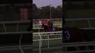 Al Mubhir all set for the Ranvet Stakes