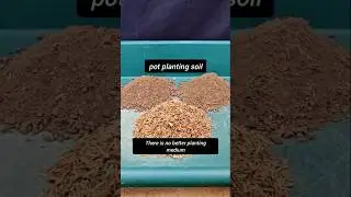 Horticultural potted plant substrate #bonsai #rice husk #Potted Planting