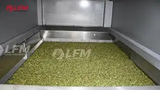 Automatic Pumpkin Seeds Roasting Machine, Pepita Roaster Machine